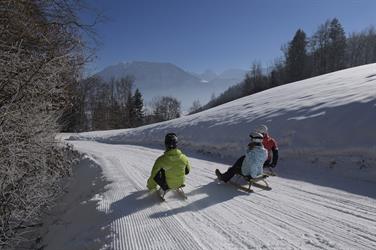 Image for: Tageskarte Rodeln